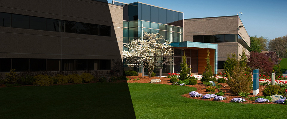 Mineral Wells Landscapers